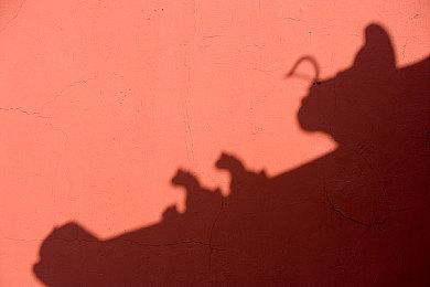 《马里奥+疯狂兔子：星耀之愿》公布黄金版内容 售价90美元